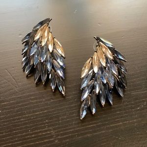 Blue and silver feather like earrings